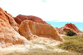 tibau