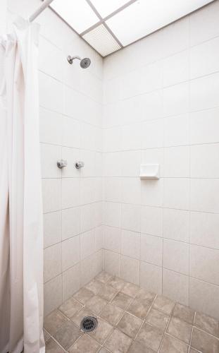 capital o el nito posada