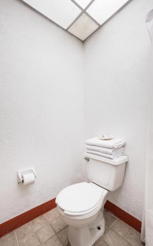 capital o el nito posada