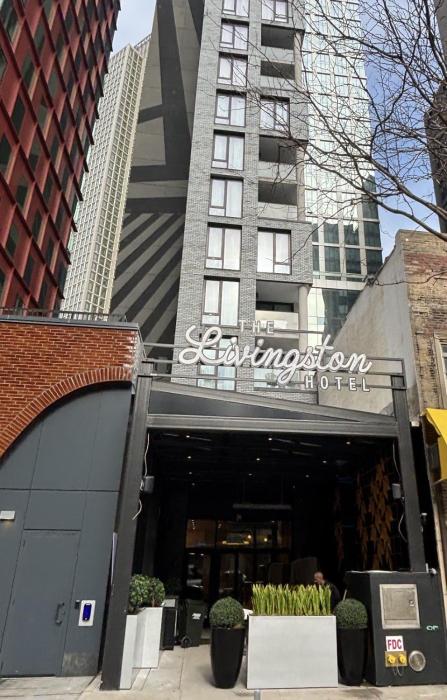 the livingston part of jdv by hyatt