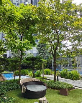 star klcc by comfort hospitality