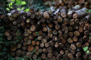 La Casa Nel Bosco,,0 star