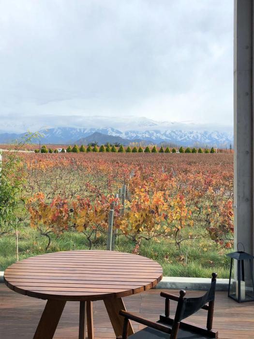 casa de uco vineyards and wine hotel