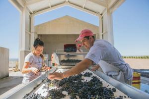 casa de uco vineyards and wine hotel
