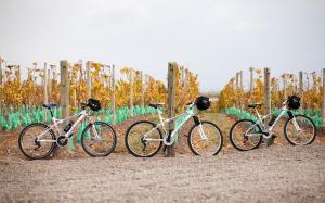 casa de uco vineyards and wine hotel