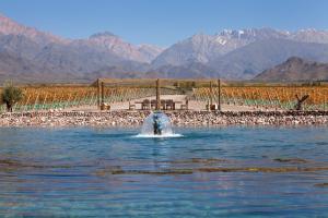 Casa De Uco Vineyards & Wine Hotel,Mendoza>>Los Arboles,5 star