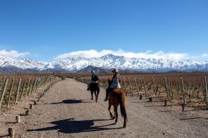 casa de uco vineyards and wine hotel
