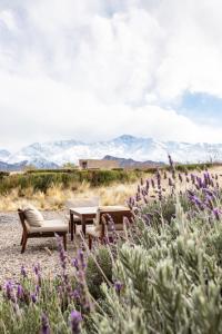 casa de uco vineyards and wine hotel