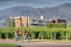 casa de uco vineyards and wine hotel