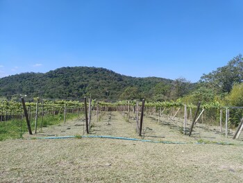 pousada aconchego no campo