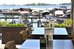 fletcher hotel restaurant loosdrecht amsterdam