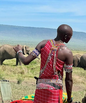 sarabi wild masai mara