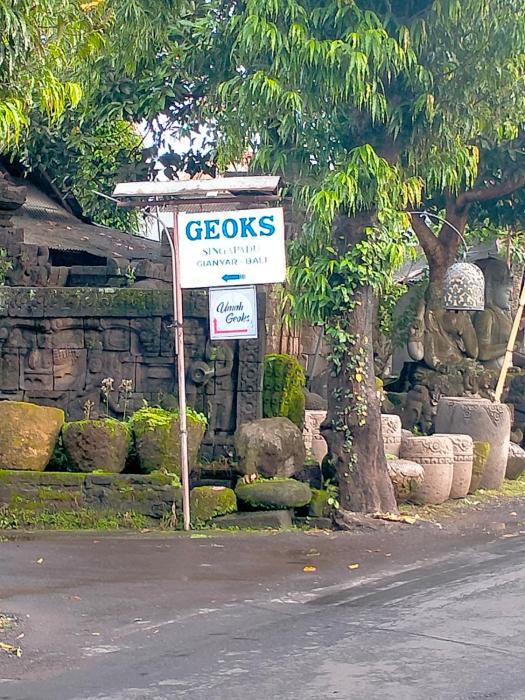 umah geoks