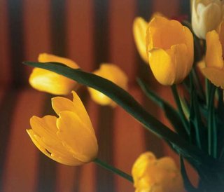 hotel plaza e de russie