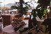hotel plaza e de russie