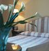 hotel plaza e de russie