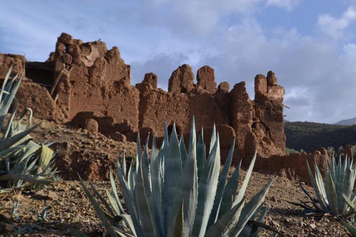villa quince