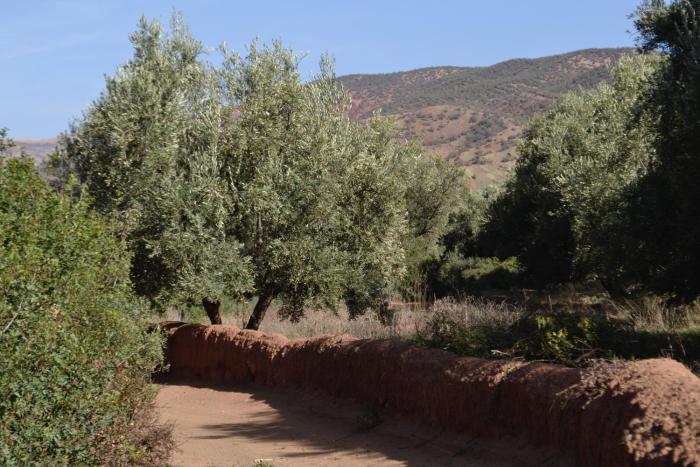 villa quince