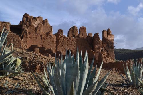 villa quince