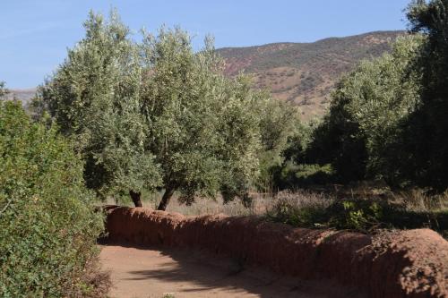villa quince