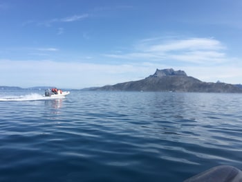 camp itivi