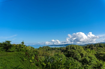 drake bay