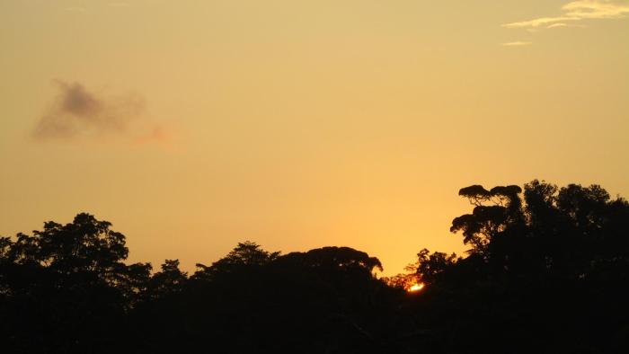 corcovado tropical garden
