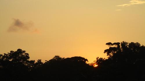 corcovado tropical garden
