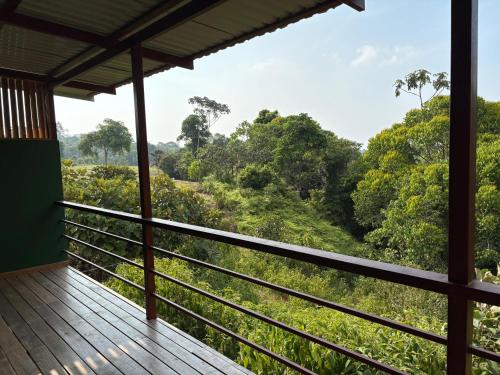 corcovado tropical garden