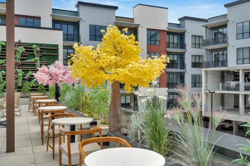 latitude apartments