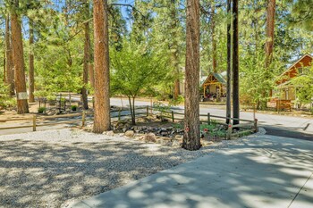 lilys bear cabin 2544