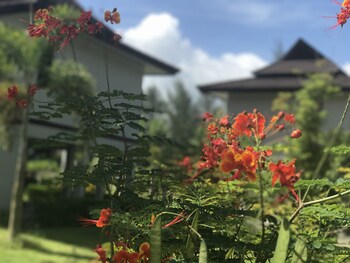 takua pa