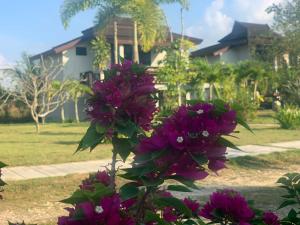 the hip resort khao lak