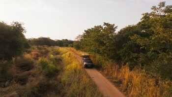 wilds wilpattu
