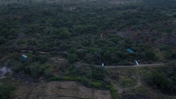 wilds wilpattu