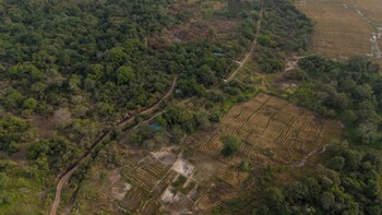 wilds wilpattu