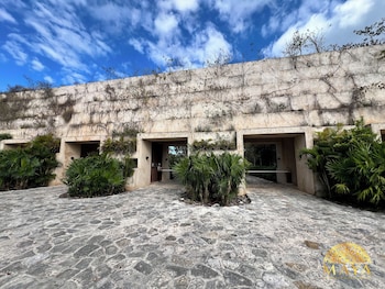peregrina tulum