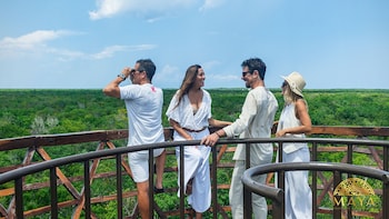 peregrina tulum