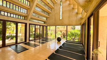 peregrina tulum