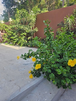 agape suites