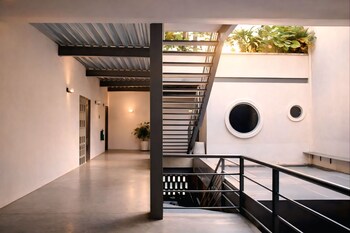 capybara hostel