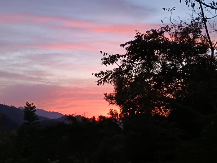 minca seasons birds