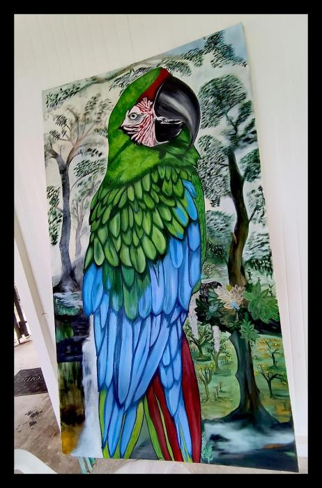 minca seasons birds
