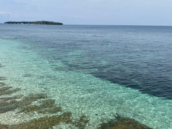 tulang diot view and turtle haven