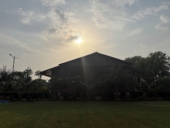 the greenwood farm and lawn bijwasan