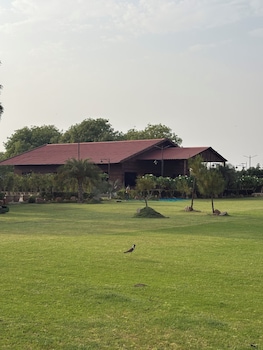 the greenwood farm and lawn bijwasan