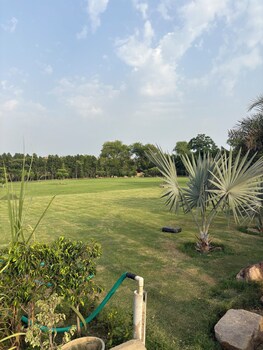 the greenwood farm and lawn bijwasan
