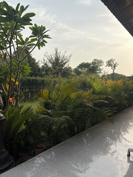 the greenwood farm and lawn bijwasan