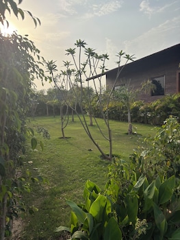 the greenwood farm and lawn bijwasan