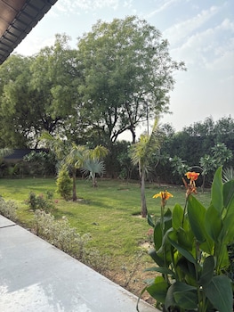 the greenwood farm and lawn bijwasan